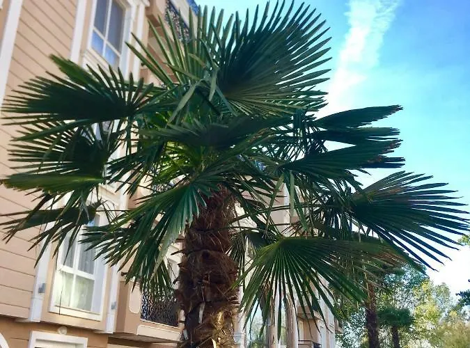 Apartello Modern - Balkan Breeze 7 Apartment Slantschew brjag